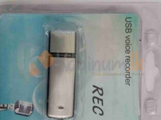 Voice Recorder And Flash Drive (8GB)