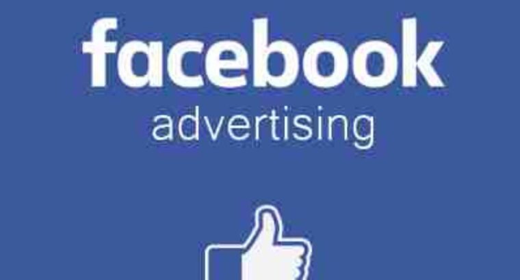 Digital Advertising Services (Facebook)