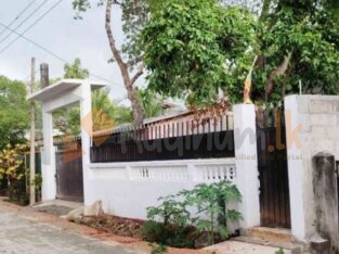 House For Sale Closed To Anuradhapura Teaching Hospital