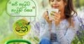 Organi Tea