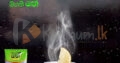 Organi Tea