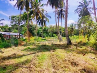 Land For Sale In MARAWILA