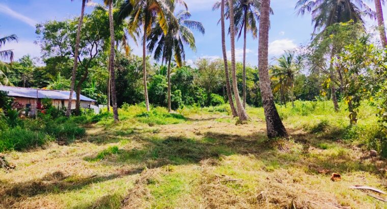 Land For Sale In MARAWILA