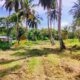 Land For Sale In MARAWILA