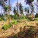 Land For Sale In MARAWILA