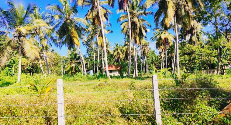 Land For Sale In MARAWILA