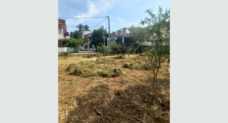 Prime Residential Land In Mahabage